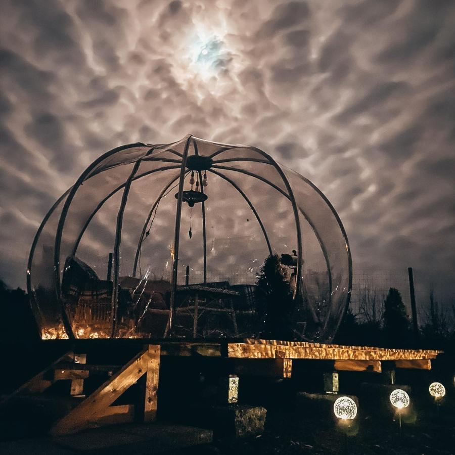 Вилла The Wooden Nest -Ковасна Экстерьер фото